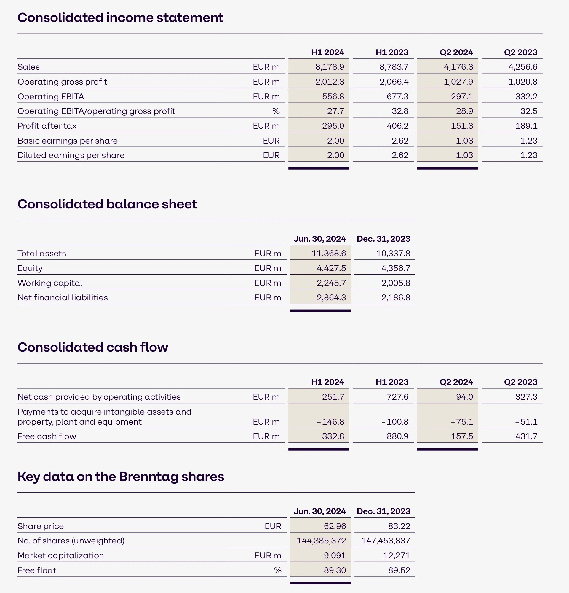 20240813-BRENNTAG-Q22024-TABLE